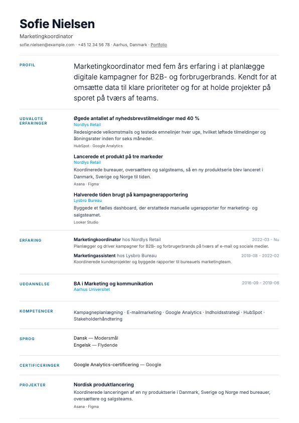 Eksempel på CV-skabelonen Statement