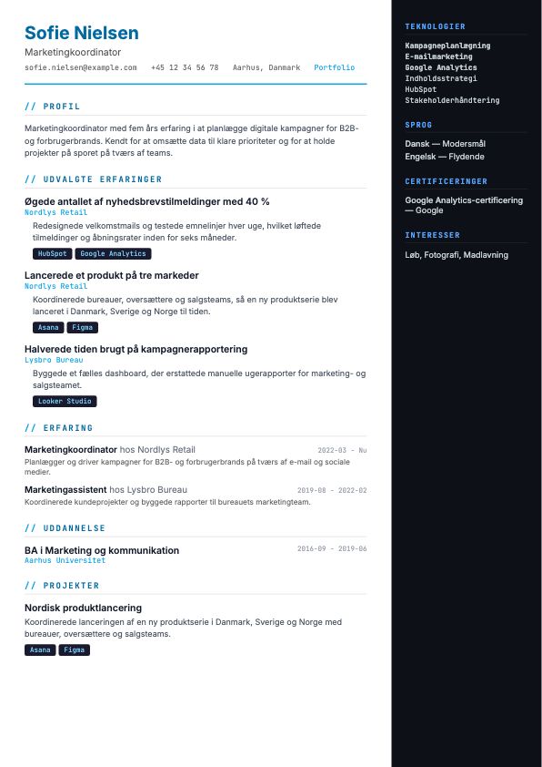 Eksempel på CV-skabelonen Tech
