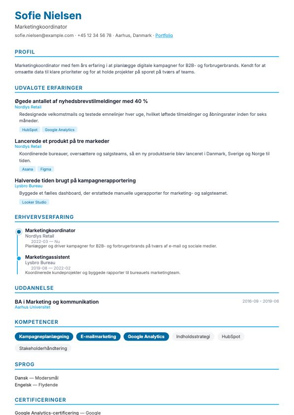 Eksempel på CV-skabelonen Tidslinje
